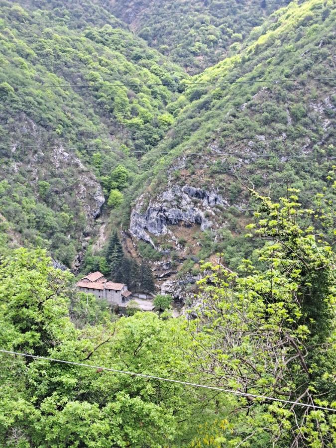Green & Blue House Valbrona Εξωτερικό φωτογραφία